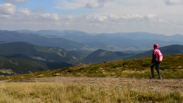 Mulher ativa caminha rápido nas montanhas dos Cárpatos no verão — Vídeo de Stock