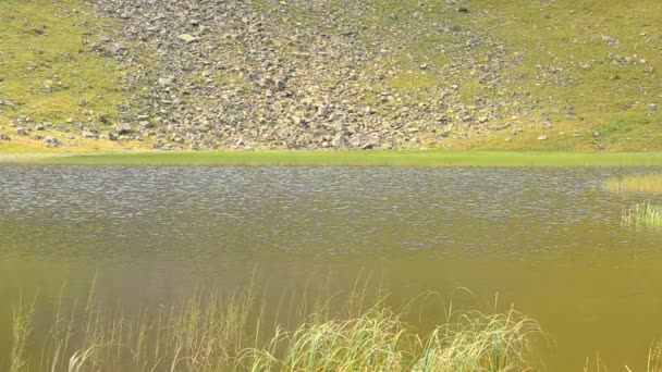 Vista de primer plano del lago de montaña a finales de agosto — Vídeos de Stock