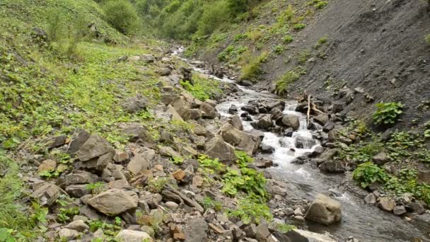 Vattenströmmen i bergen rinner mellan klippiga bergen i sommar — Stockvideo