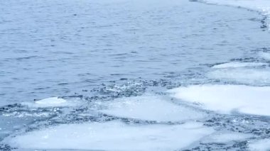Dalgalar ile su yüzeyinde yüzen buz kütleleri erime