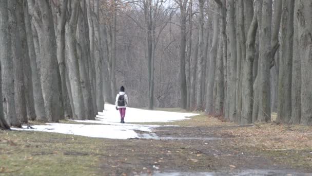 Tiener meisje met rugzak wandelingen in de winter in een park — Stockvideo