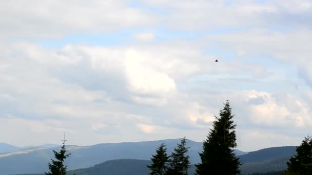 Fågel flyger på bakgrund av vita moln och himmel i bergen — Stockvideo