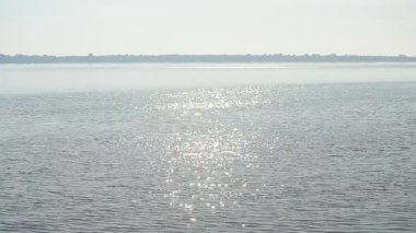 Güneş parlak su içine martı dalış