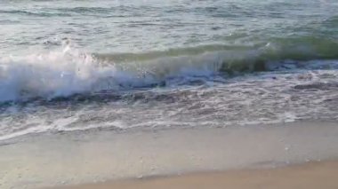 Deniz ya da okyanus kum plajındaki kesiciler