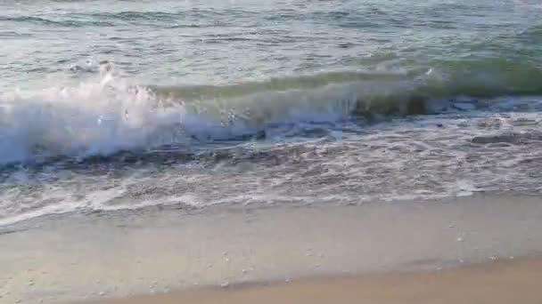 Interruptores en la playa de arena del mar o el océano — Vídeos de Stock