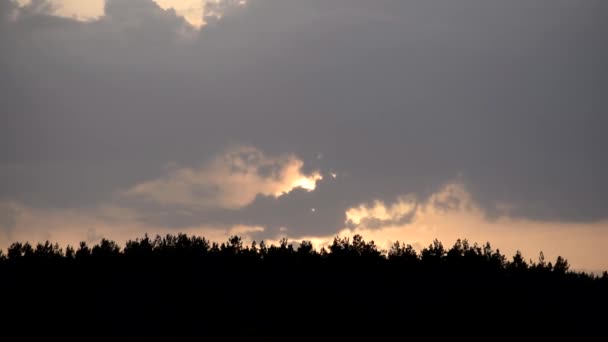Romántica puesta de sol con nubes sobre las siluetas de los árboles — Vídeos de Stock