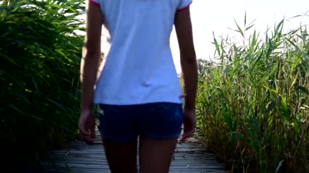 Szczupła, młoda kobieta idzie na drewniany most w lecie — Wideo stockowe