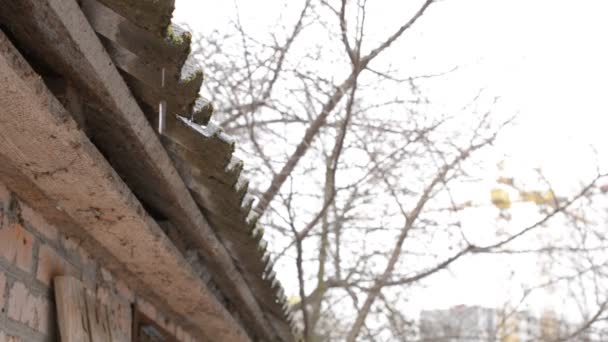 Oluklu elyaf çimento ve asbest çatı su yavaş yavaş düşer — Stok video