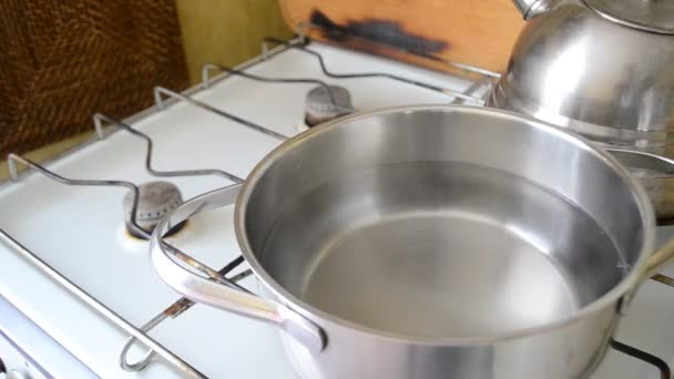 Wasser beginnt im Topf zu kochen — Stockvideo
