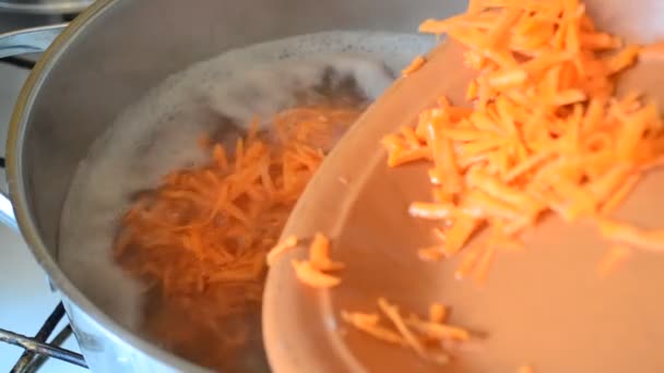 Het toevoegen van geraspte wortel in steelpan met boekweit soep koken — Stockvideo