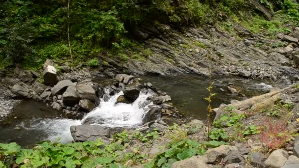 Pequeño río de montaña con cascadas — Vídeos de Stock