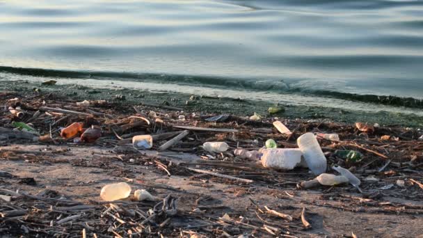 Σκουπίδια στην ακτή με βρώμικο νερό — Αρχείο Βίντεο