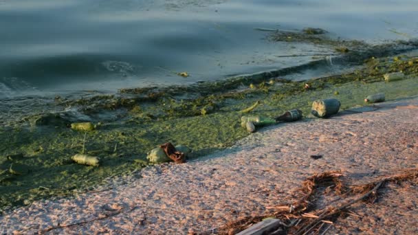汚れた水が付いている海岸のゴミ — ストック動画