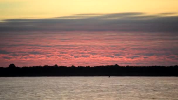 Time lapse of rose nubes de colores al amanecer sobre un río con siluetas de árboles oscuros en el bosque en la otra orilla del río . — Vídeo de stock