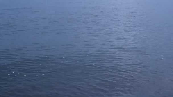 Pierre sautant sur la surface de l'eau avec des ondulations 