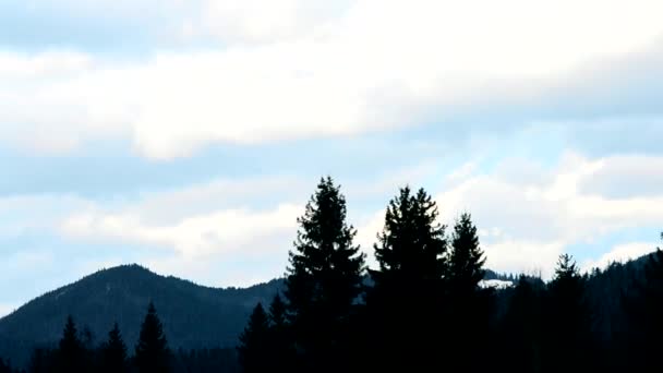 Wolken verplaatsen boven de bergen met sparren — Stockvideo