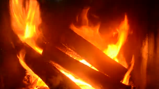 Logs burning in an iron-cast fireplace — Stock Video