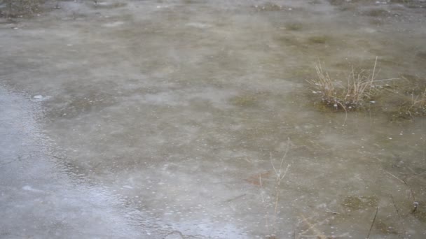 Pozzanghera su ghiaccio con acqua agitata dal vento — Video Stock