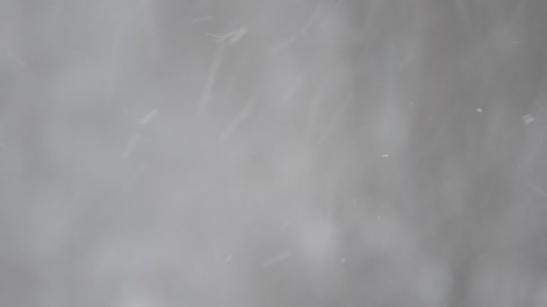 Gros plan de la neige tombant sur fond flou — Video