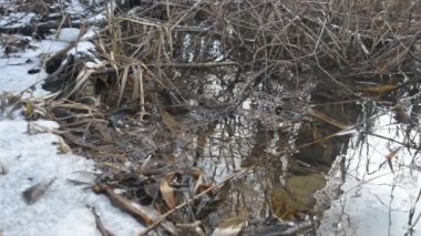 Brook buz baharda erime ile akan su yüzeyine