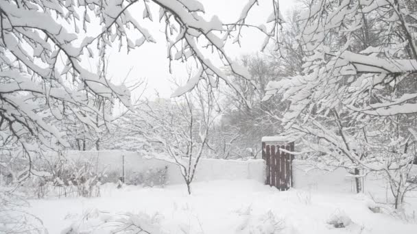 Sníh padá na venkově na pozadí branky a stromů