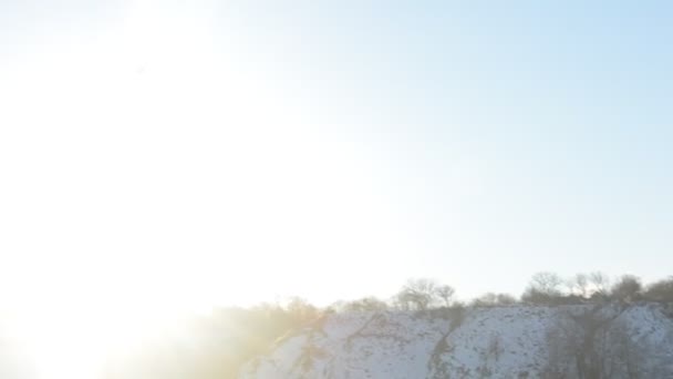 Tern flying in winter on background of blue sky — Stock Video