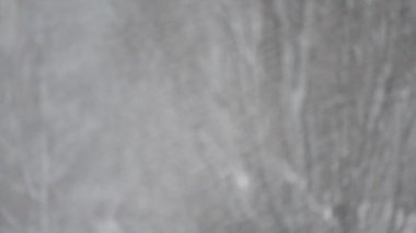 Arka plan bulanık büyük yapraksız ağacının düşen kar çekik