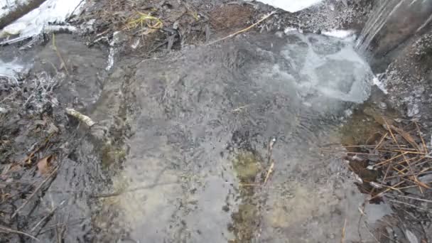 Kleine natuurlijke waterval met helder water in de winter of de lente — Stockvideo