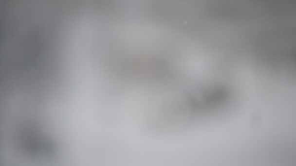 背景をぼかした写真に降る雪 — ストック動画