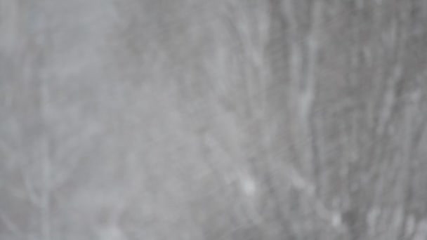 Neige pendante tombant sur un fond flou de grand arbre sans feuilles 