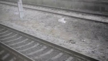 Tren. İki demiryolu üzerinde hareket eden trenin penceresinden dışarı görünümü