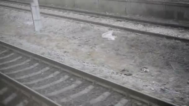 Ferrocarril. Vista desde la ventana del tren en movimiento en dos ferrocarriles — Vídeos de Stock