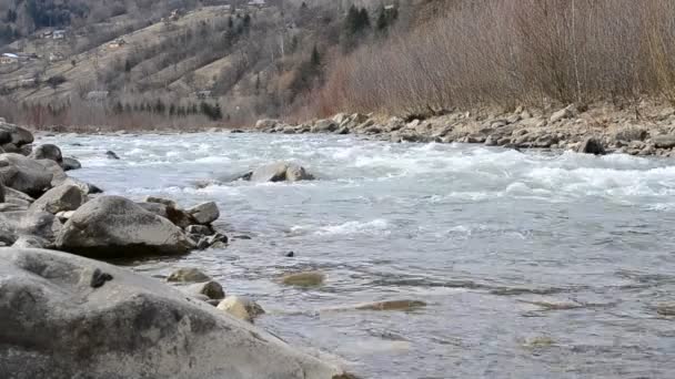 Tscheremosch Fluss in Werchowina, Ukraine. März 05, 2015 — Stockvideo