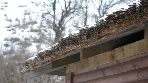 El agua del derretimiento de las gotas de nieve del techo de paja — Vídeo de stock