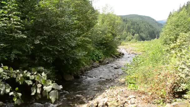 Kleine berg rivier stroomt door groene bergachtige bos — Stockvideo