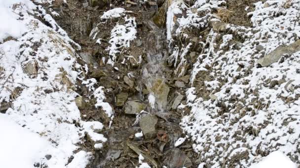 Kleine bergbeek stroomt op steenachtige besneeuwde grond in de winter — Stockvideo