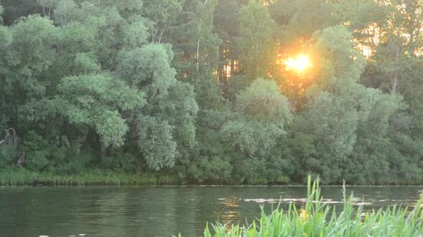 Coucher de soleil à la rivière avec la lumière du soleil venant à travers le feuillage d'arbres verts 