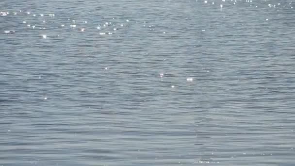 Strahlend blaue Wasseroberfläche, die in der Sonne glitzert — Stockvideo