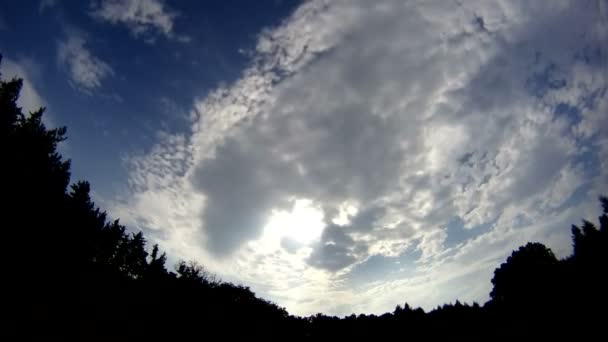 林間に移動する雲の時間経過 — ストック動画