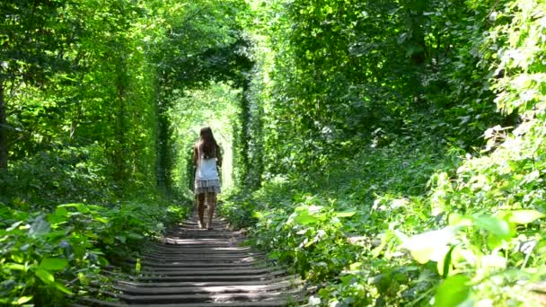 Jonge slanke tiener meisje wandelingen weg van camera in natuurlijke groene bossen — Stockvideo