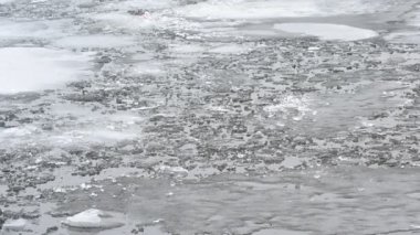 Dalgalar ile su yüzeyinde yüzen eriyen buz blokları