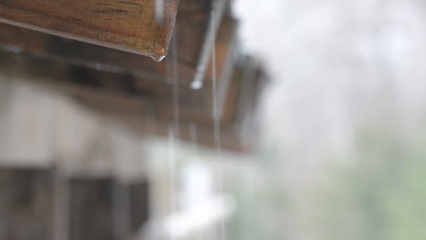 屋根から落ちてくる水滴 — ストック動画