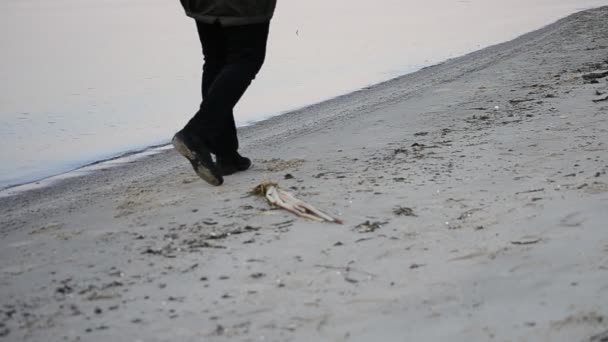 Одиночество. Одинокий человек в темной одежде гуляет по пляжу — стоковое видео