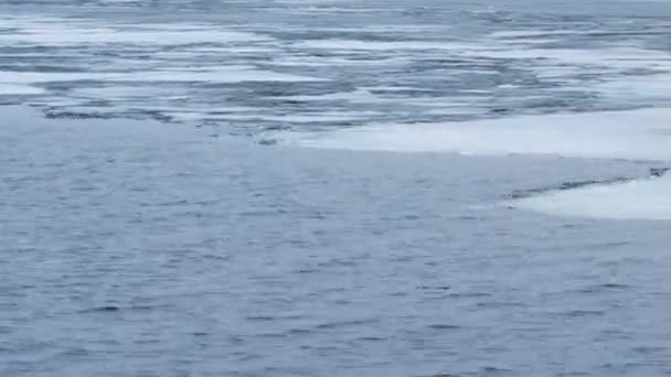 Panorámica. Timelapse de olas de agua en lago parcialmente congelado — Vídeos de Stock