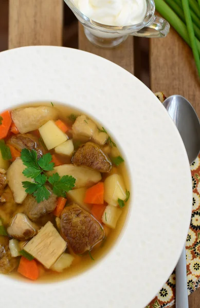 Porcini mushroom soup — Stock Photo, Image