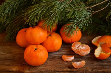 Mandalina altında çam dal