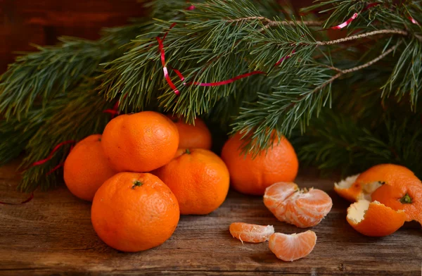 Tangerines under the pine branch — Stock Photo, Image