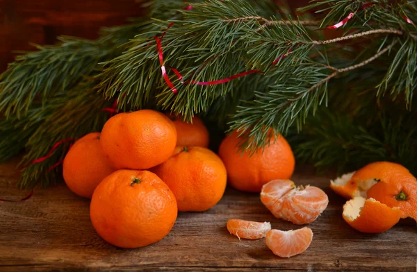 Mandalina altında çam dal