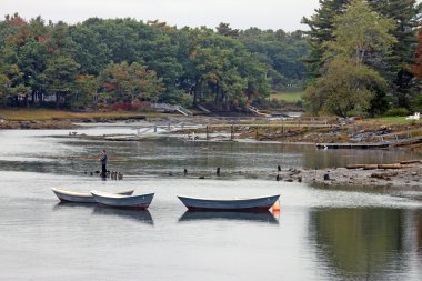 Üç dories