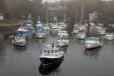 Perkins koyu sisin içinde